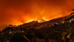 Wildfire